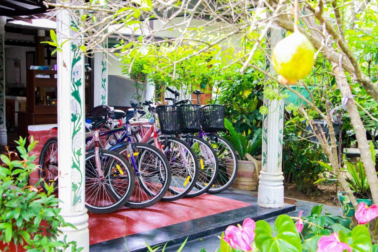 Galaxy View Homestay Sigiriya Exterior foto