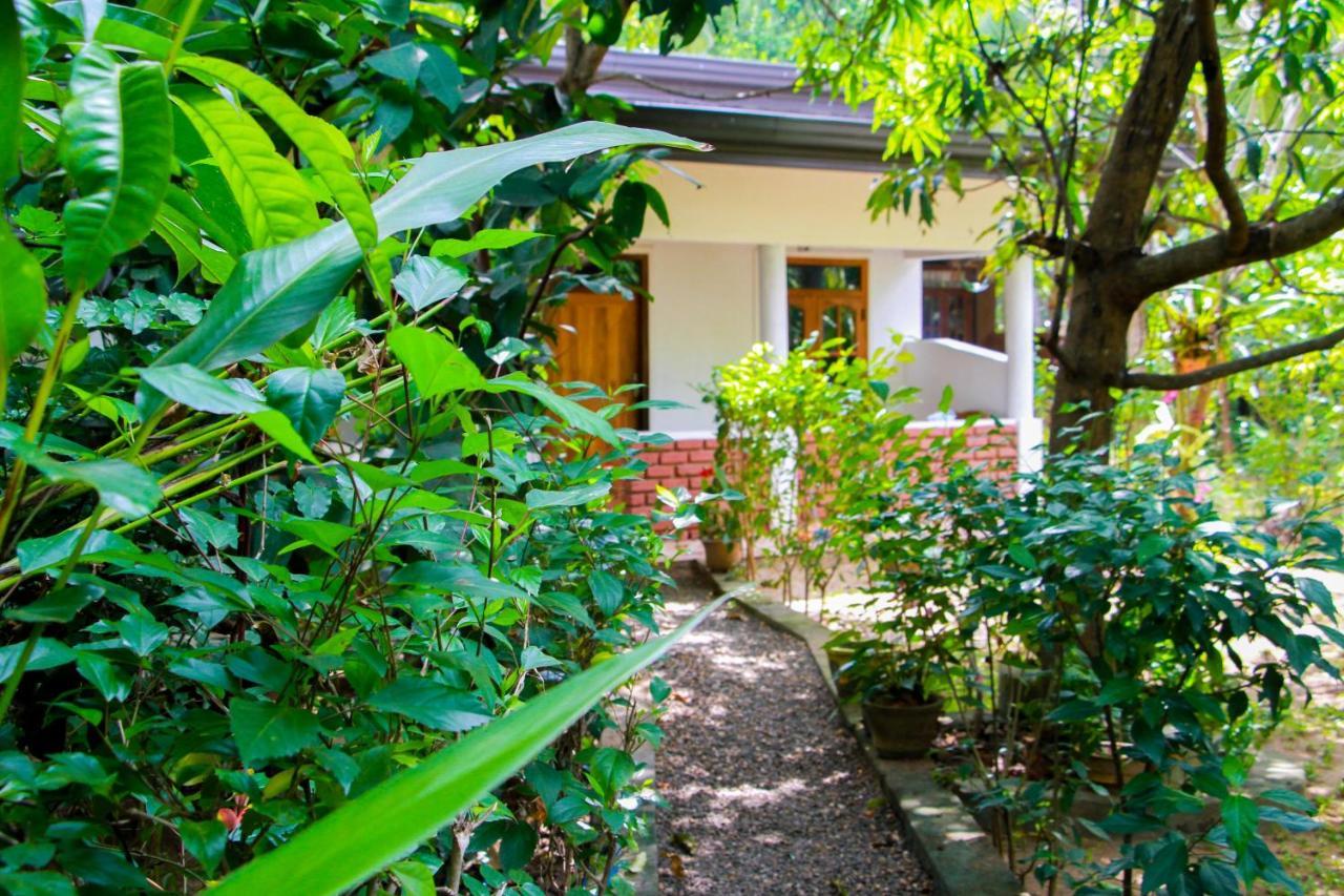Galaxy View Homestay Sigiriya Exterior foto