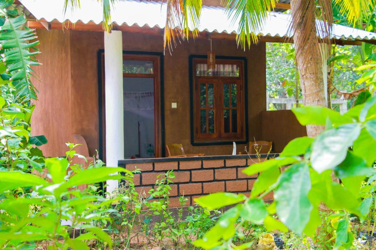 Galaxy View Homestay Sigiriya Exterior foto