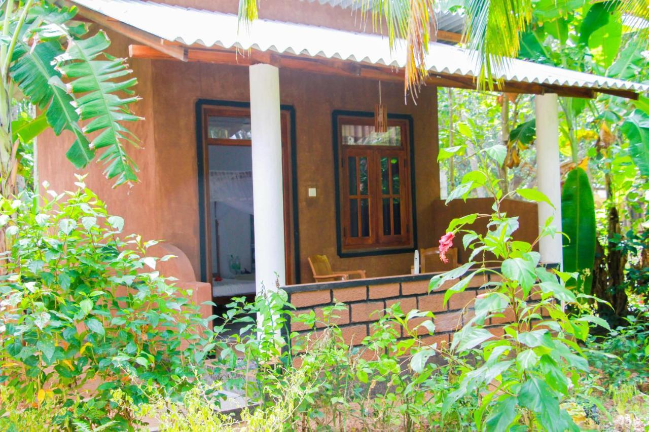 Galaxy View Homestay Sigiriya Exterior foto