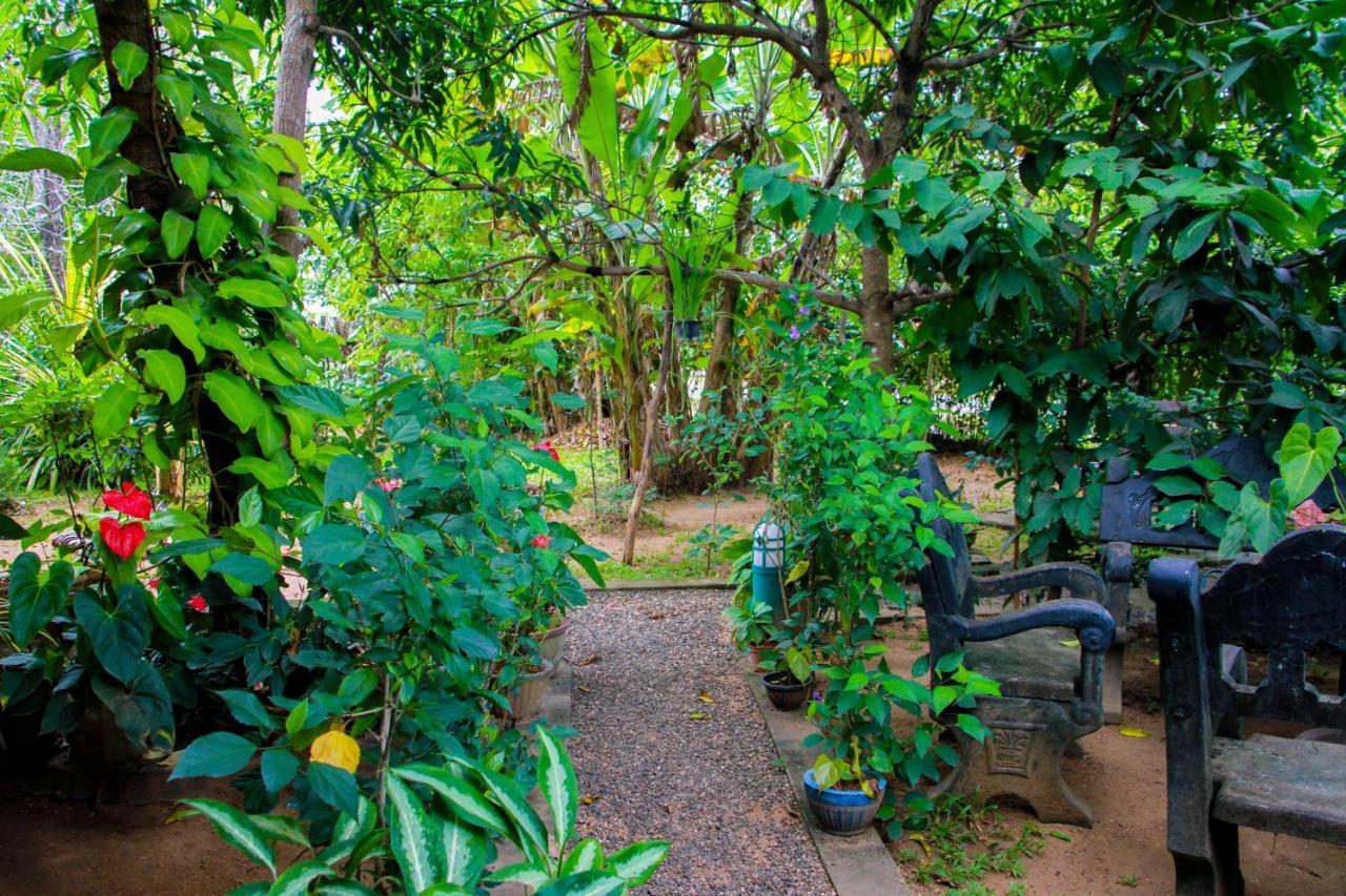 Galaxy View Homestay Sigiriya Exterior foto
