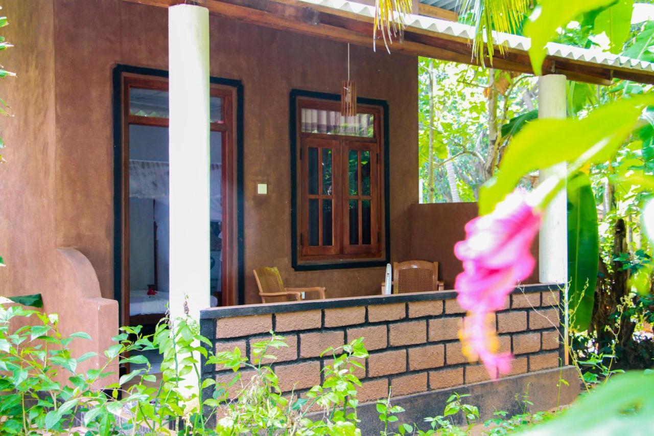 Galaxy View Homestay Sigiriya Exterior foto