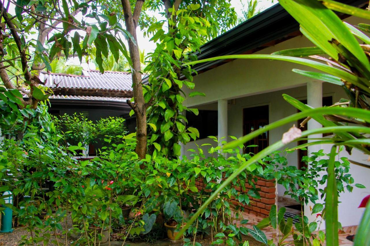 Galaxy View Homestay Sigiriya Exterior foto